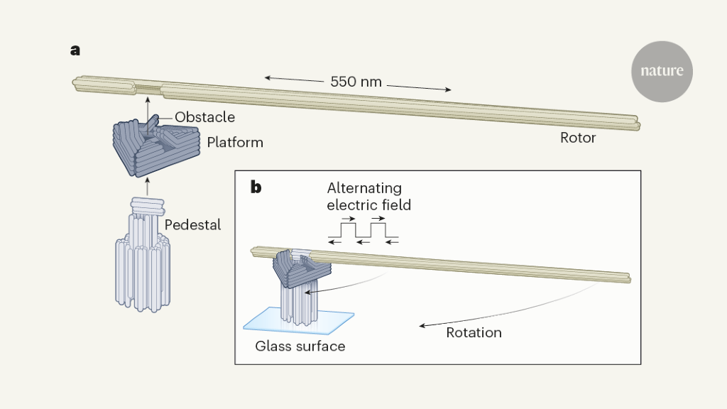 A microscopic electric motor made of DNA