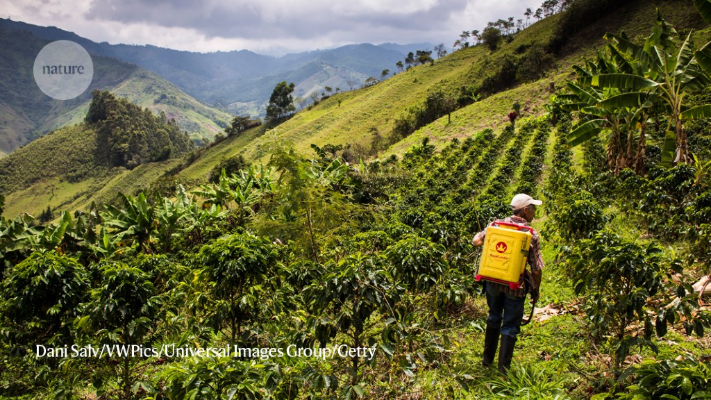 How Colombian coffee farmers helped my climate-change research