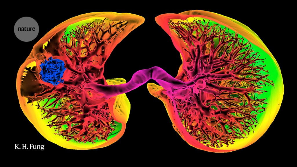 Could machine learning fuel a reproducibility crisis in science?