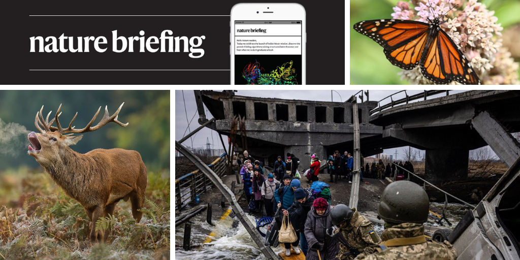 Daily briefing: Monarch butterflies are an endangered species