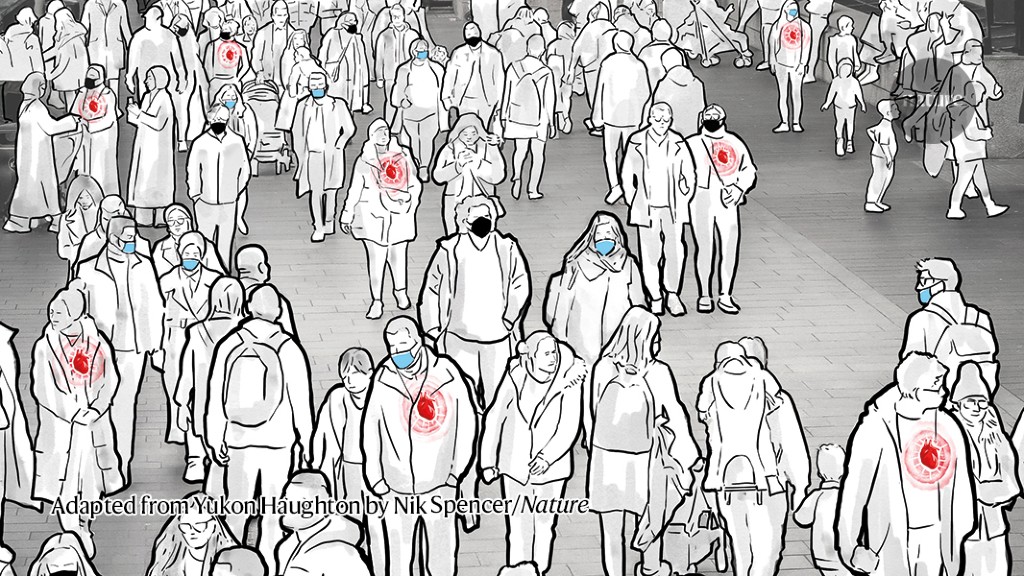 Heart disease after COVID: what the data say - Nature.com