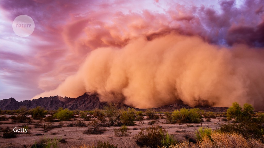 Dust-up over dust storm link to ‘Valley Fever’ disease