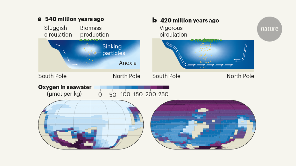 Plate tectonics controls ocean oxygen levels