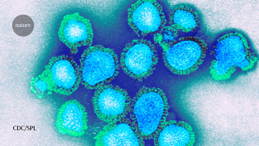 Designer antiviral takes aim at one of influenza's soft spots - Nature.com