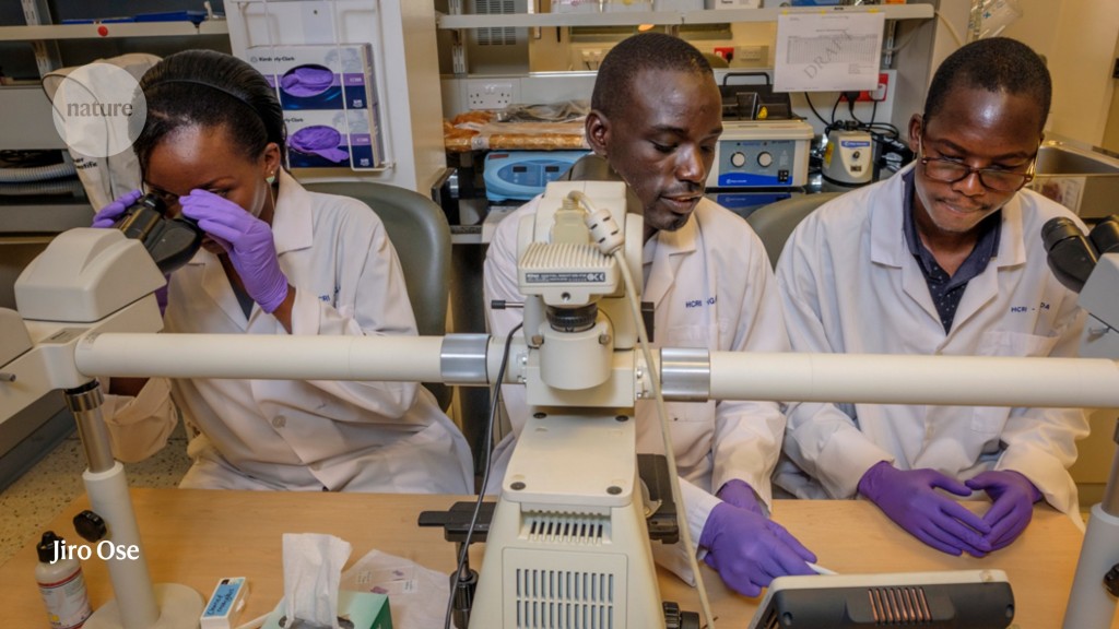 My life at the helm of a top African cancer-treatment centre