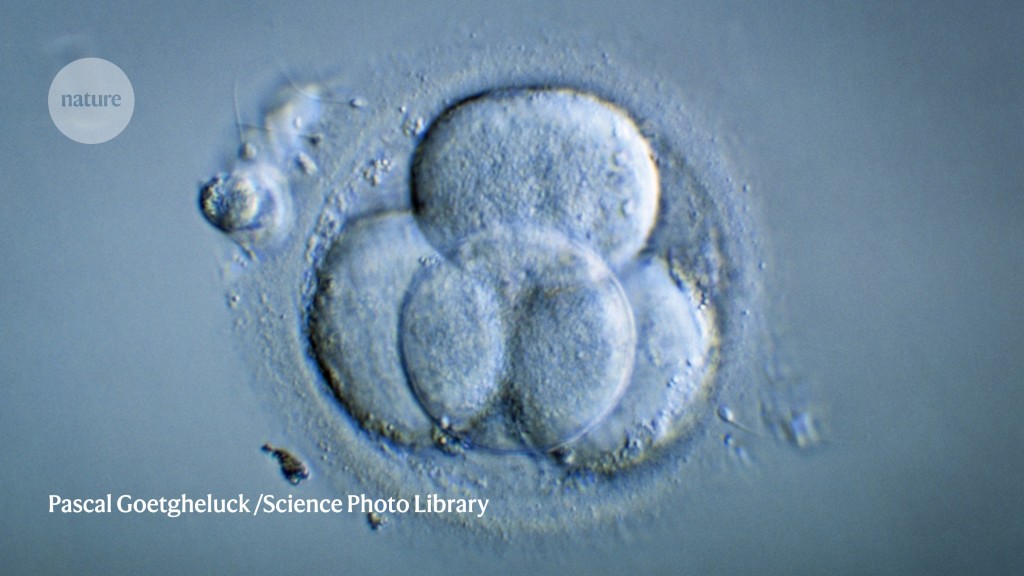Embryos with DNA from three people develop normally in first safety study