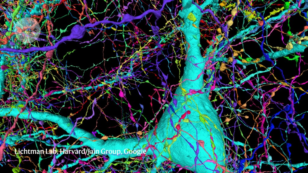 Five ways deep learning has transformed image analysis