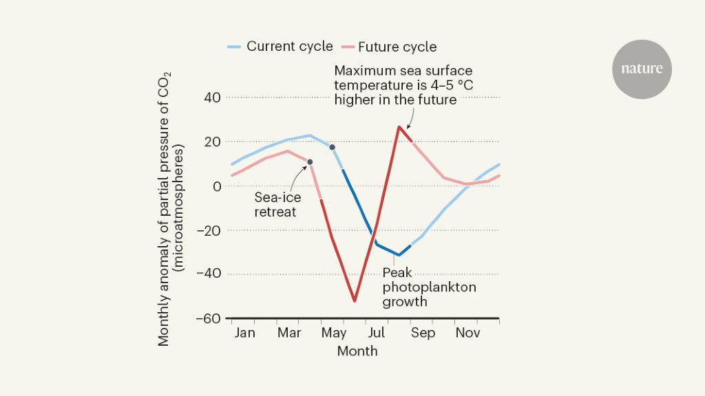 Seasonal peak in Arctic Ocean acidity could shift to the summer
