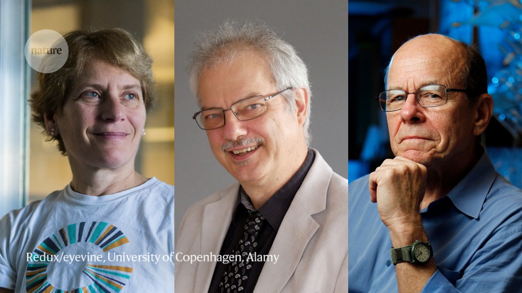 Chemists who invented revolutionary 'click' reactions win Nobel