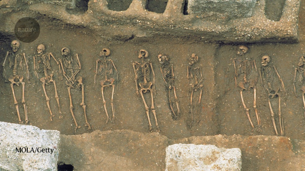 Ancient DNA reveals rapid natural selection during the Black Death