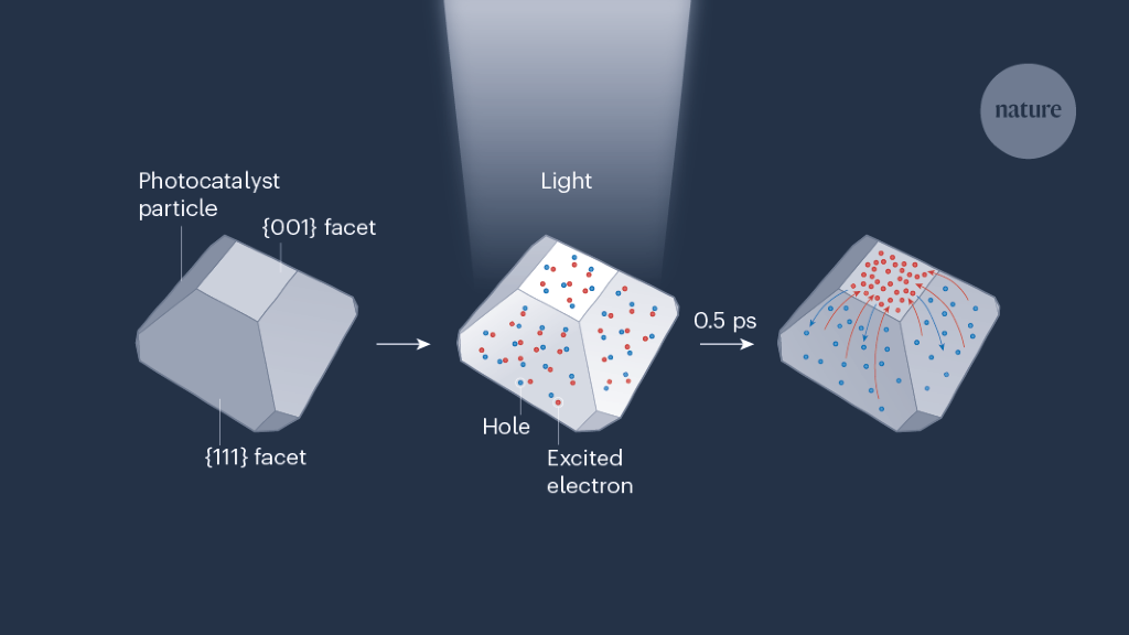 Charge transfer observed in light-activated catalyst particles