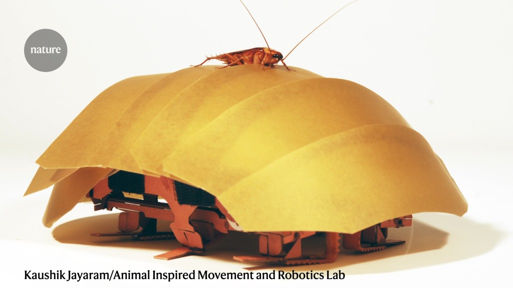 Insects offer inspiration for robot advances