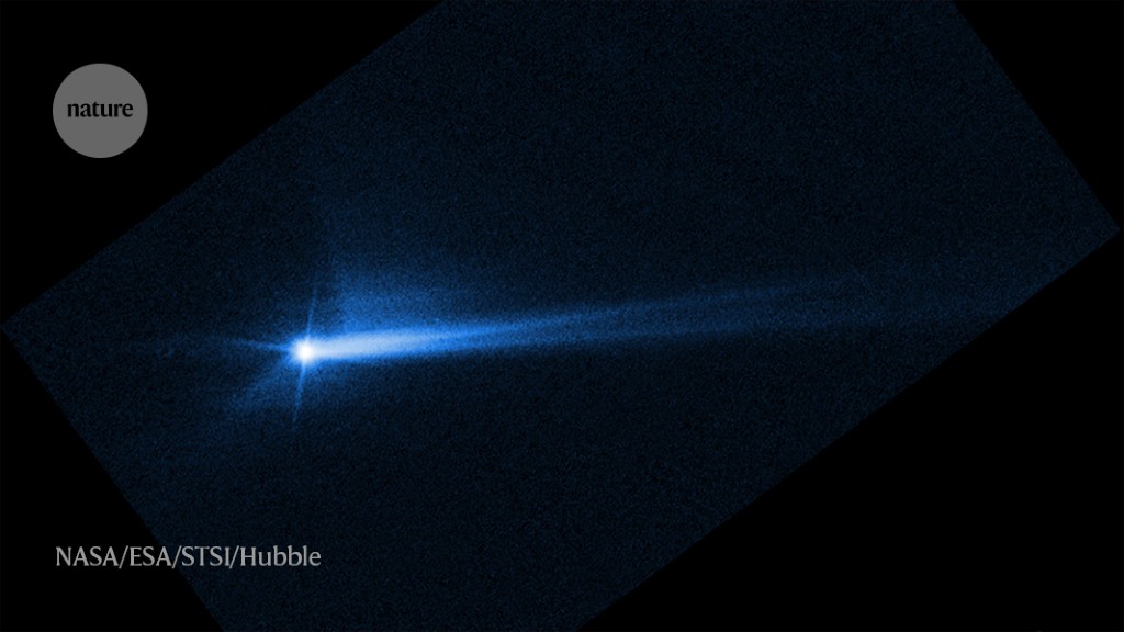 Smashing success: humanity has diverted an asteroid for the first time