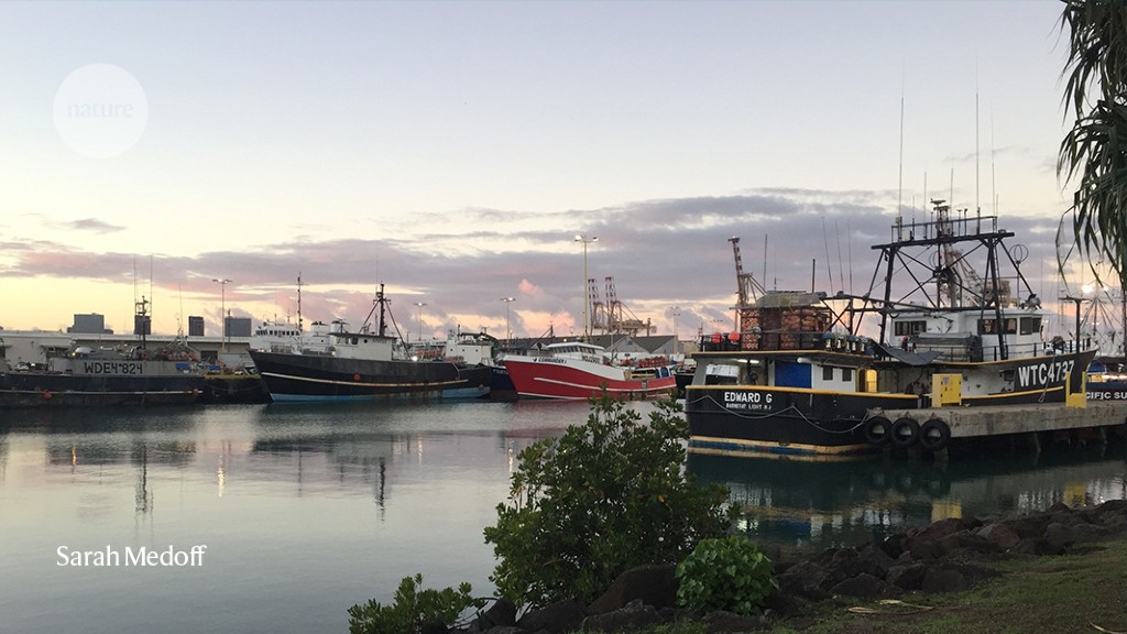 Tuna catch rates soared after creation of no-fishing zone in Hawaii