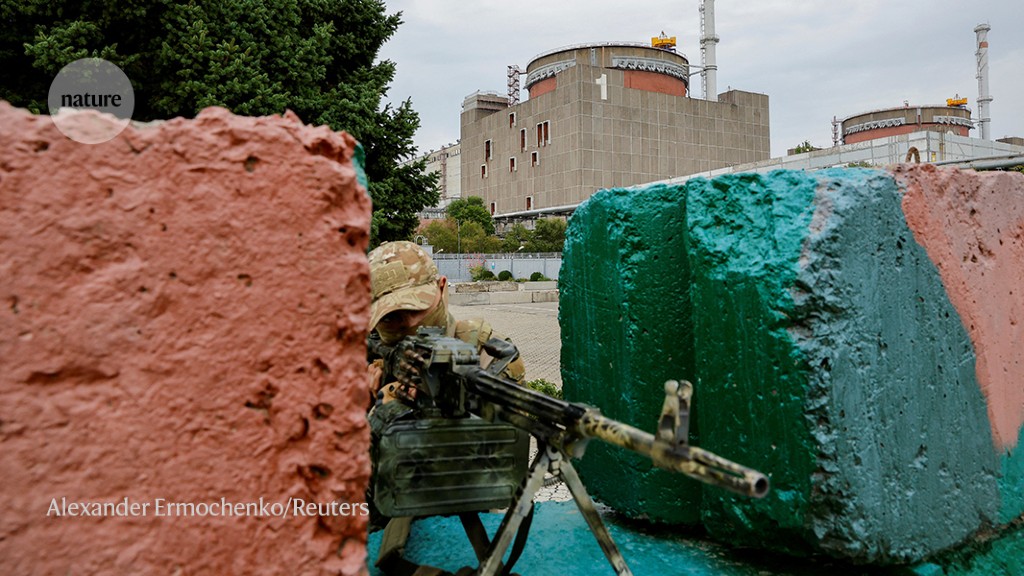 Assaults on Ukrainian nuclear-power vegetation problem treaties