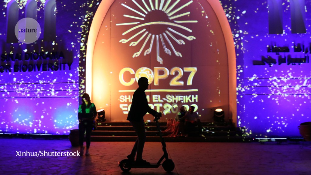 'Actions, not just words': Egypt's climate scientists share COP27 hopes - Nature.com