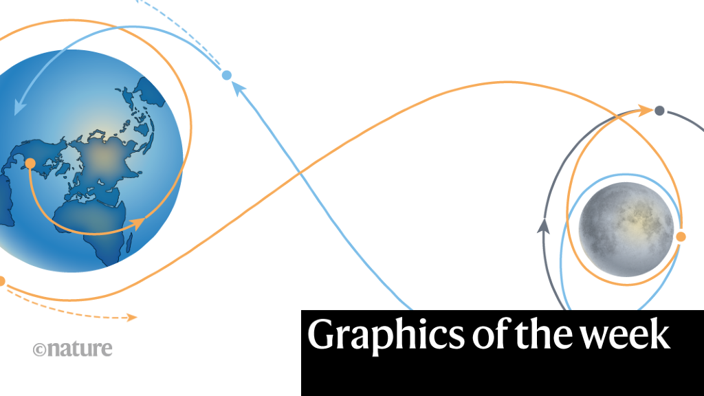 Maths predicts World Cup winner — and more of this week’s best science graphics