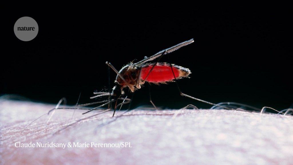 Mosquito blood meals reveal history of human infections