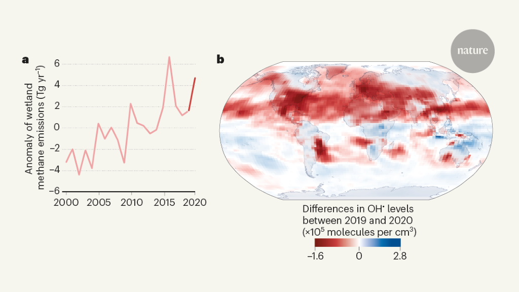 Cause of the 2020 surge in atmospheric methane clarified