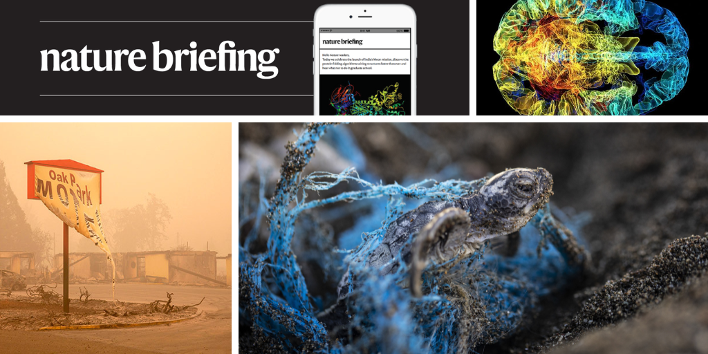 Daily briefing: The biodiversity challenge in ten stunning pictures