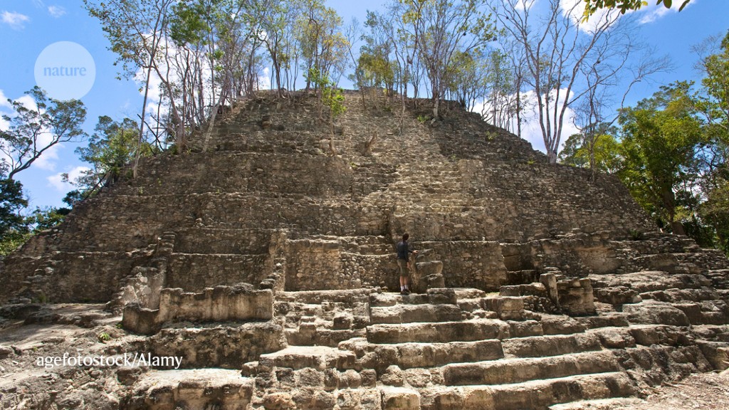 Revealed: massive Maya structures built by vast labour forces