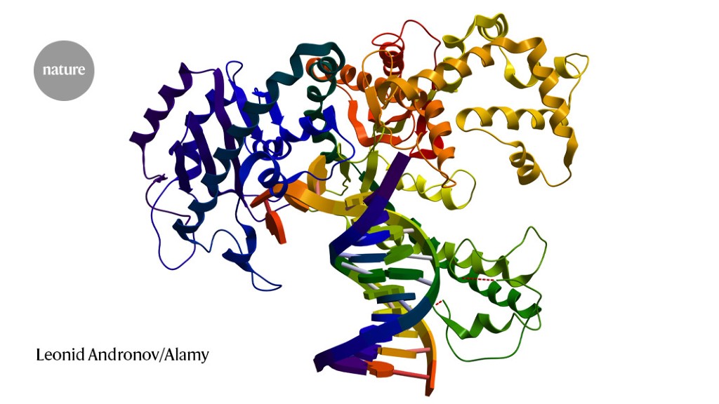 After AlphaFold: protein-folding contest seeks next big breakthrough