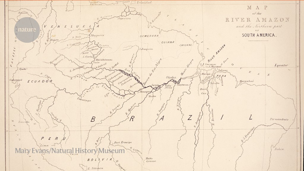 how Alfred Russel Wallace inspires Indigenous researchers