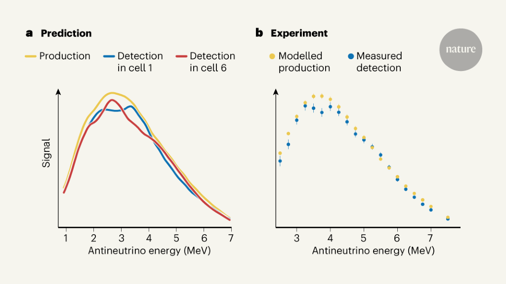 Nuclear Reaction Rules Out Sterile Neutrino Hypothesis