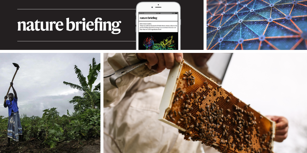 Daily briefing: World’s first vaccine for bees