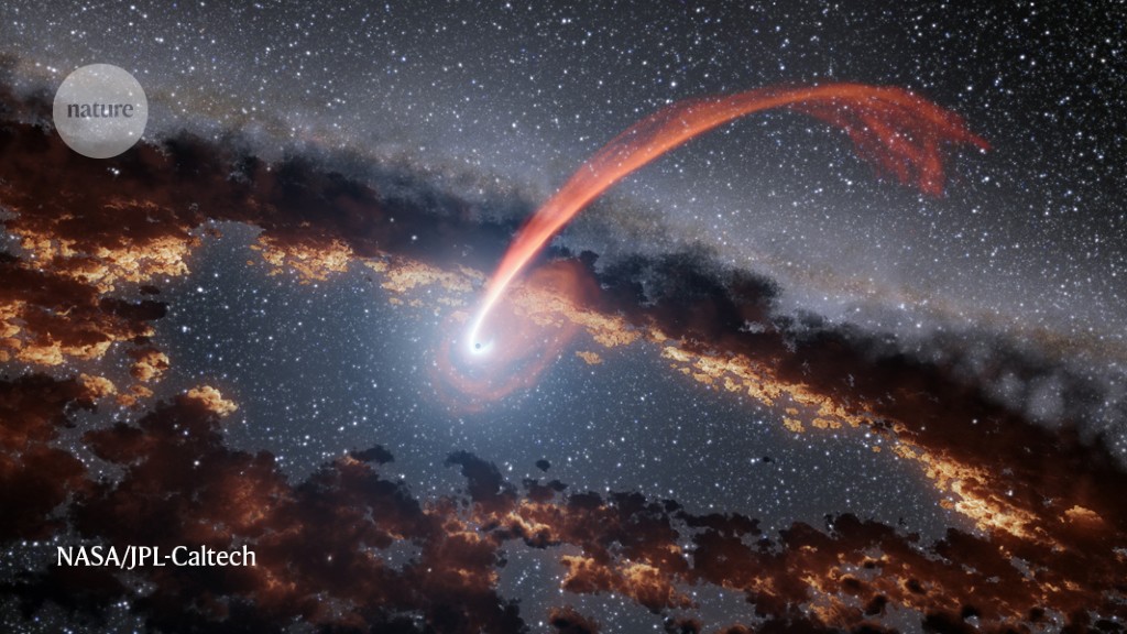 Dainty eater: black hole consumes a star bit by bit