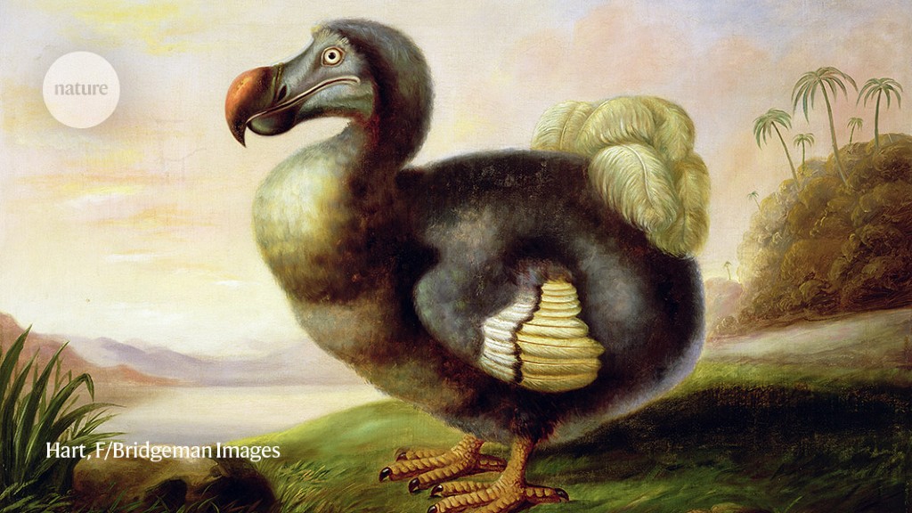 What it would take to bring back the dodo
