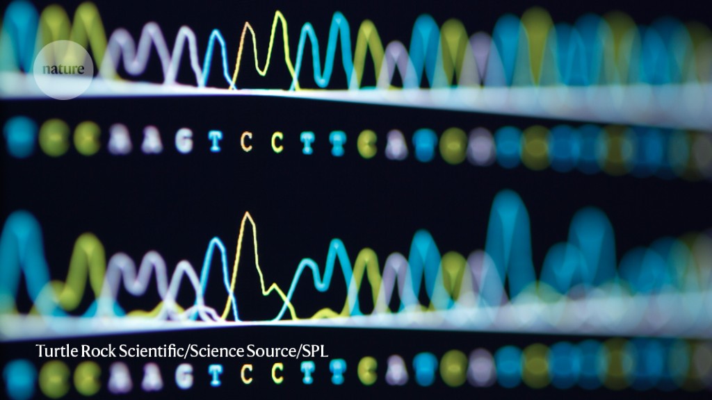 Highly cited genetics studies found to contain sequence errors