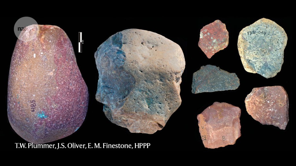 Ancient stone tools suggest early humans dined on hippo