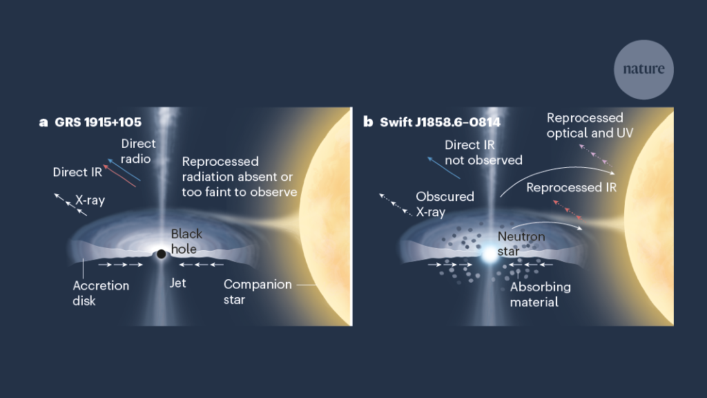 Black holes and neutron stars beat alike when bright