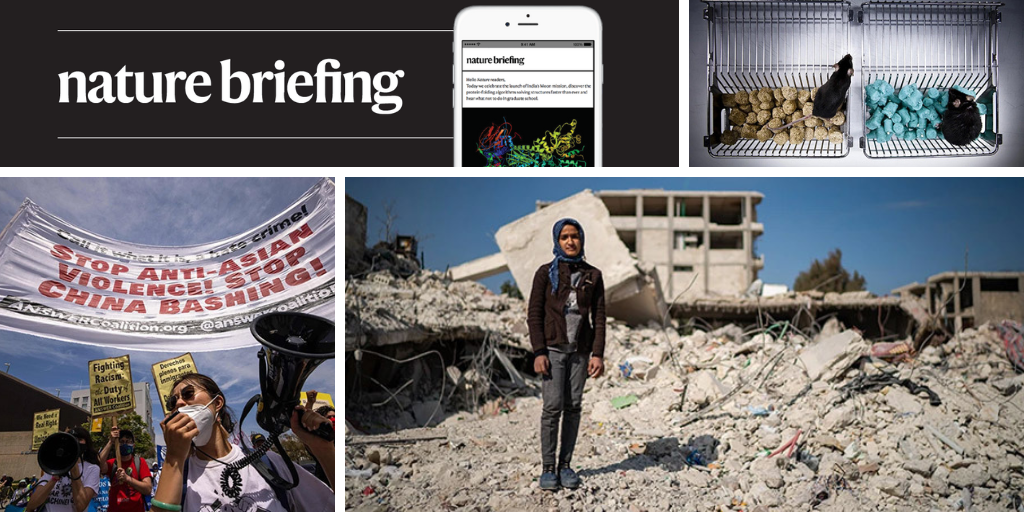 Daily briefing: In Syria, one MRI for 4.7 million people