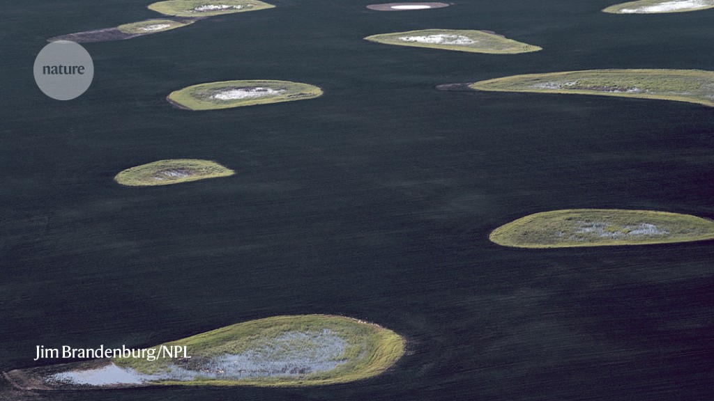 Methane from one of Earth’s largest wetland complexes is set to soar