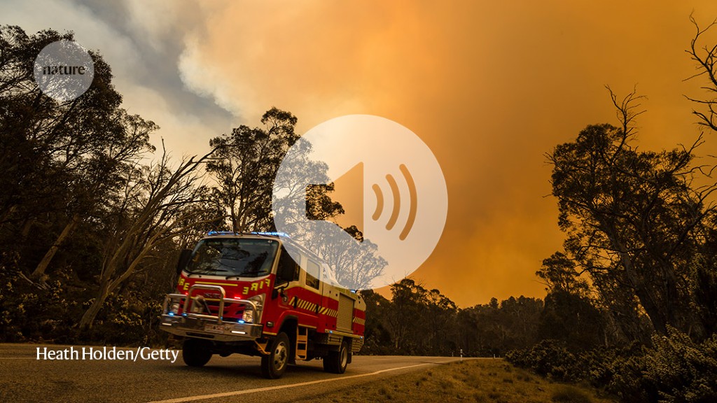 How the Australian wildfires devastated the ozone layer