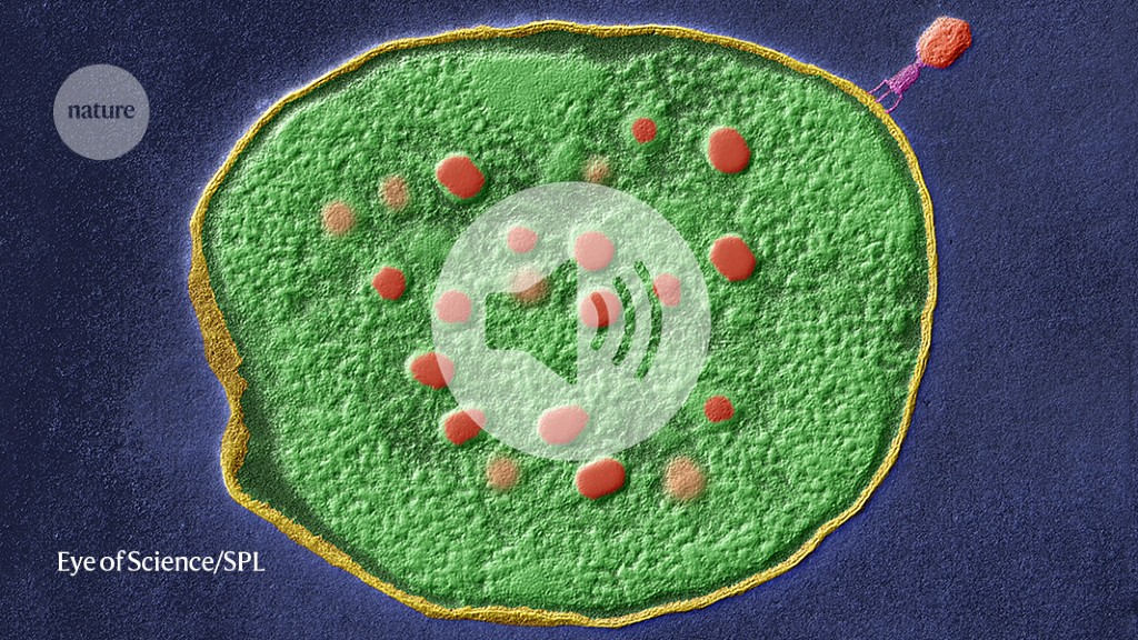 How to build a virus-proof cell