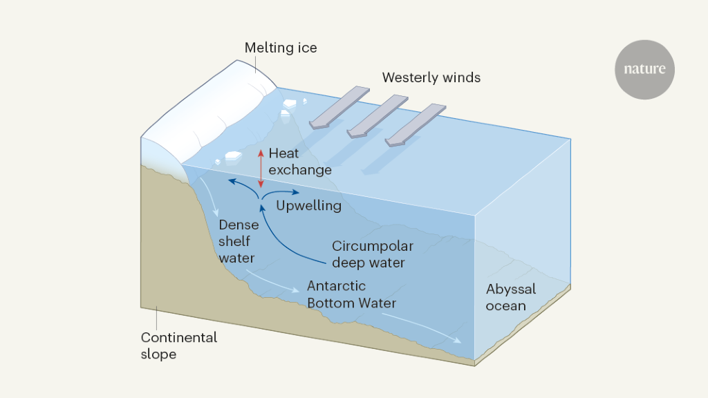 Southern Ocean heat sink hindered by melting ice