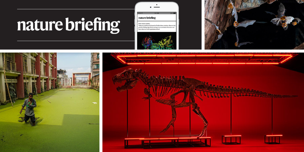 Daily briefing: Trinity the T. rex could be lost to science
