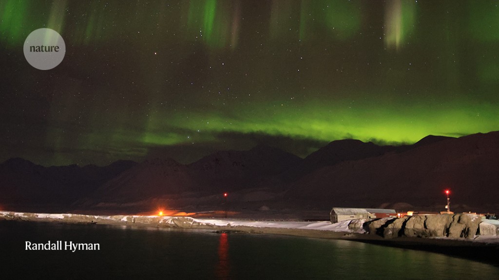 The Arctic after dark: a secret world of hidden life