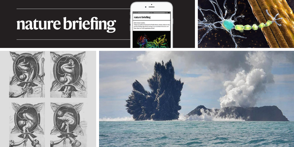 Daily briefing: How to fine-tune your scientific searches