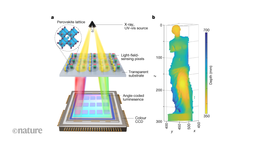 Detectors that encode angles of incoming light as colour