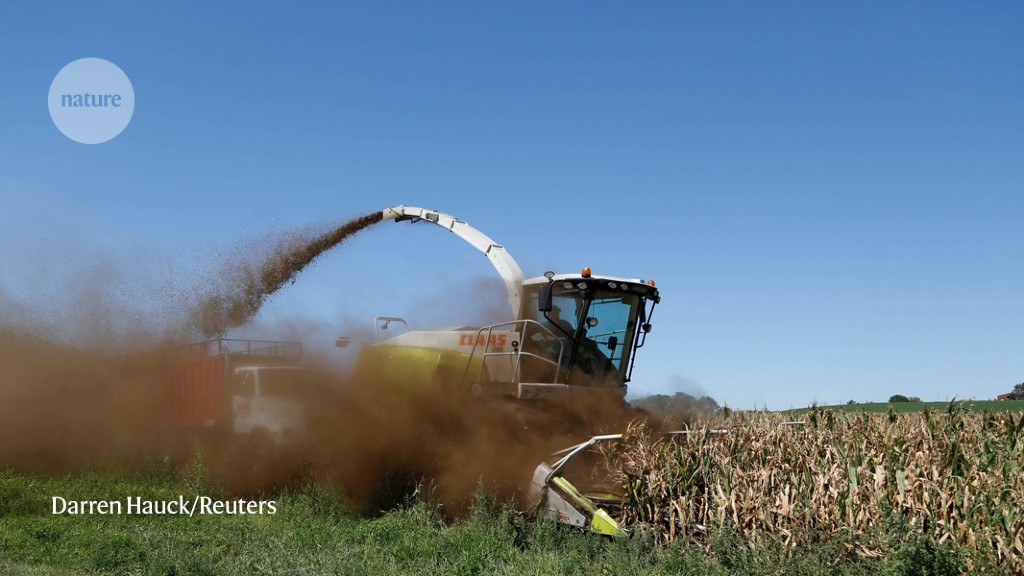 Address the growing urgency of fungal disease in crops