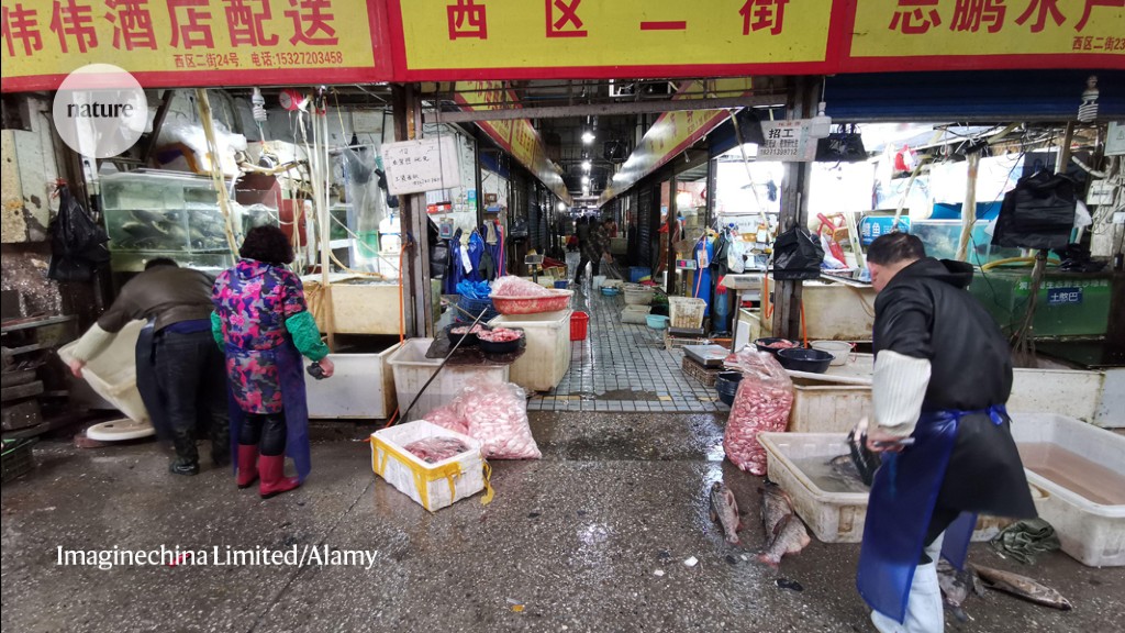 Wuhan market samples fail to shed further light on COVID origins