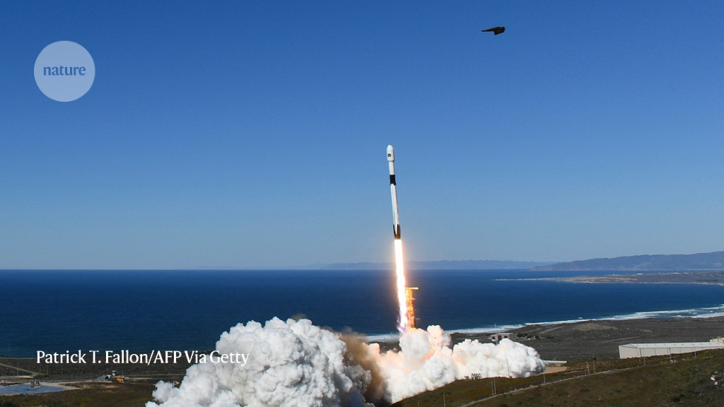 Does the roar of rocket launches harm wildlife? These scientists seek answers