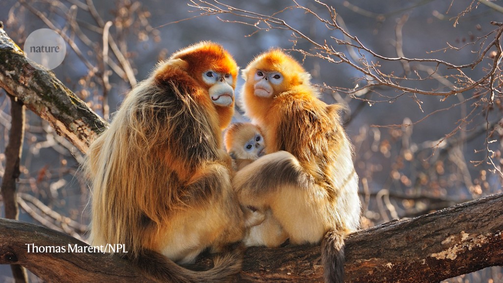 China is using satellites to police the protection of nature — but will it work?