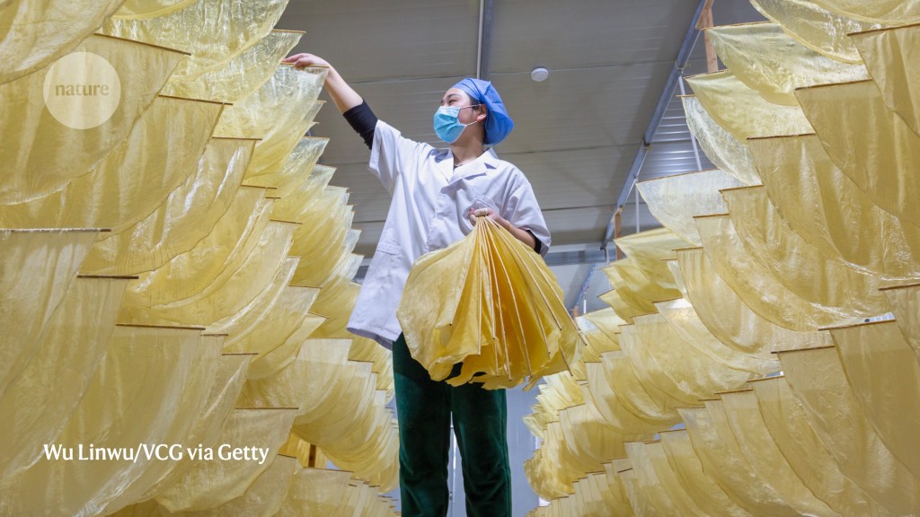 From tea to tofu: why Chinese dietary staples are rich pickings for research