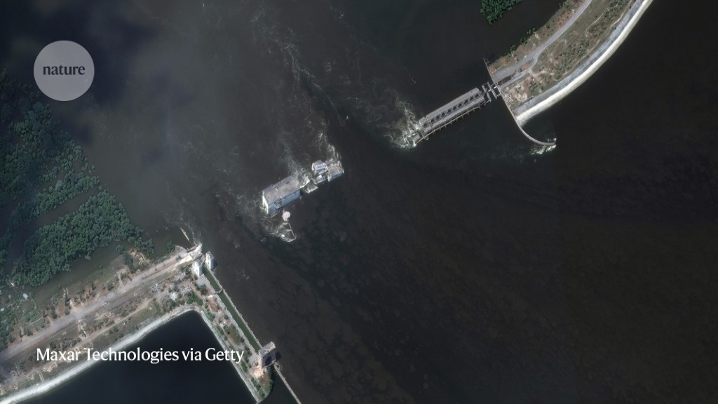 Ukraine dam collapse: what scientists are watching