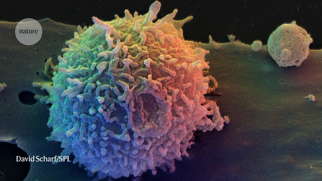A CRISPR-based method makes T cells that thwart teens’ cancer